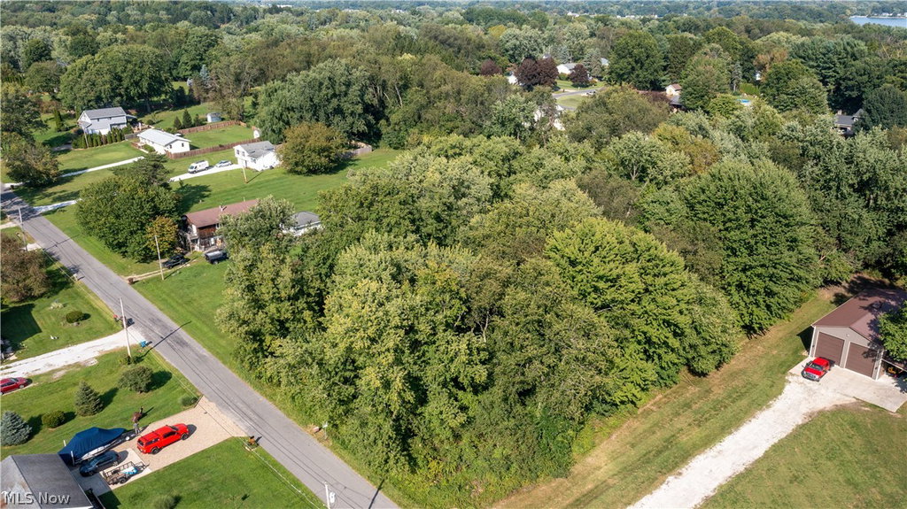 Media Image 1