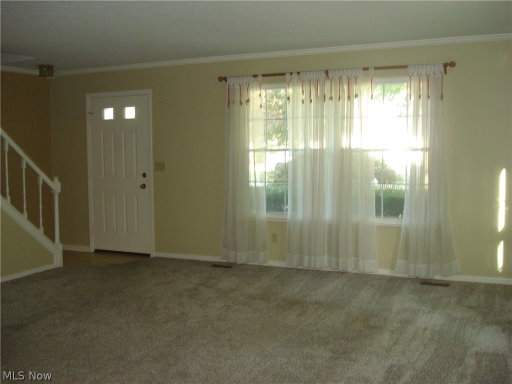 Media Image 2
