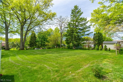 Media Image 3