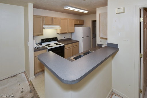 Media Image 3