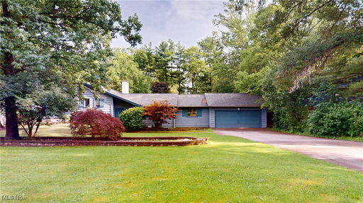 Media Image 2