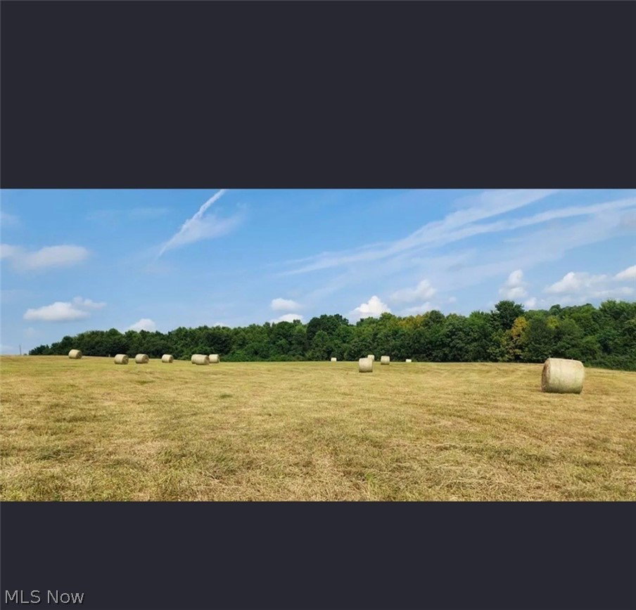 Image Unavailable