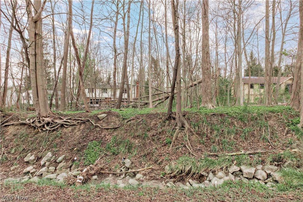 Media Image 1