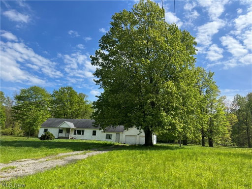 Media Image 3