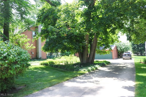 Media Image 3