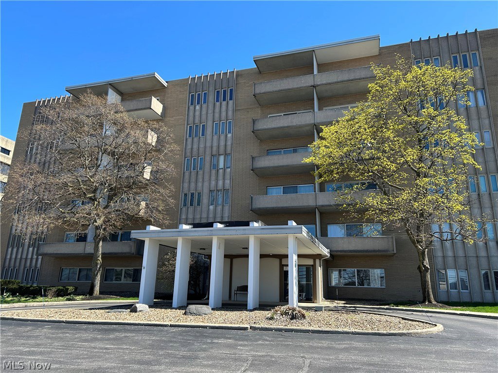 Media Image 1