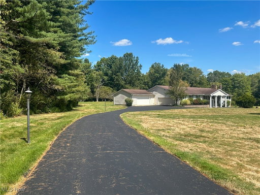Media Image 2