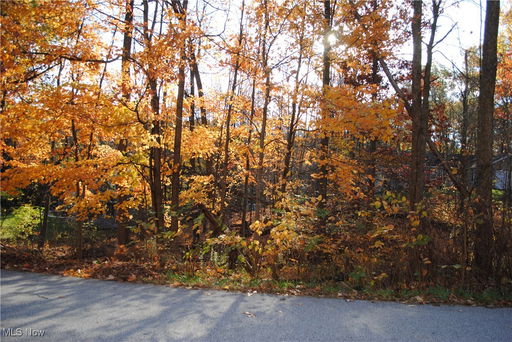 Media Image 3