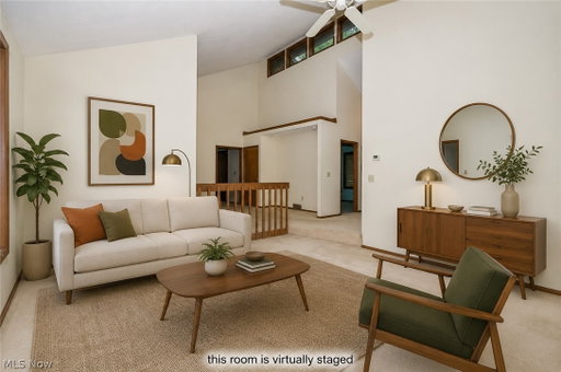 Media Image 3
