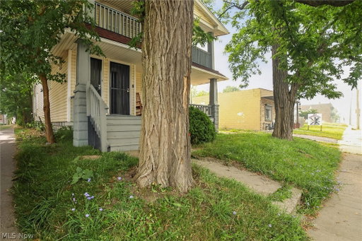 Media Image 3