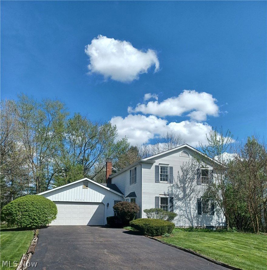 Media Image 1