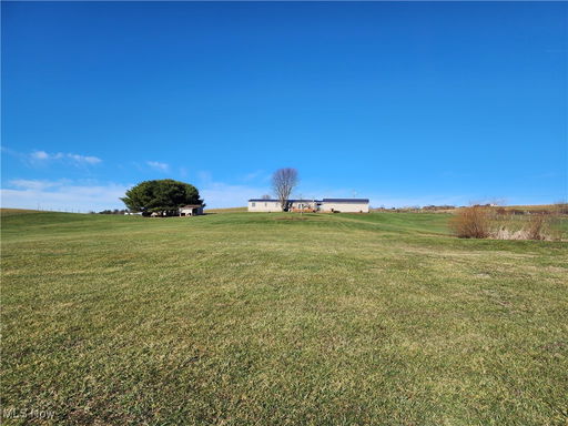 Media Image 2