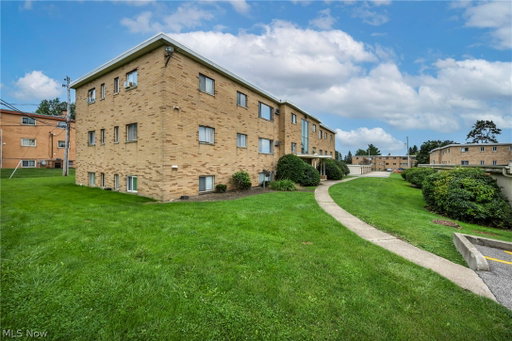 Media Image 3