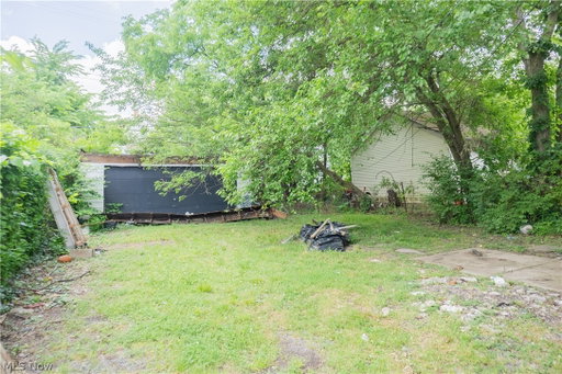 Media Image 3