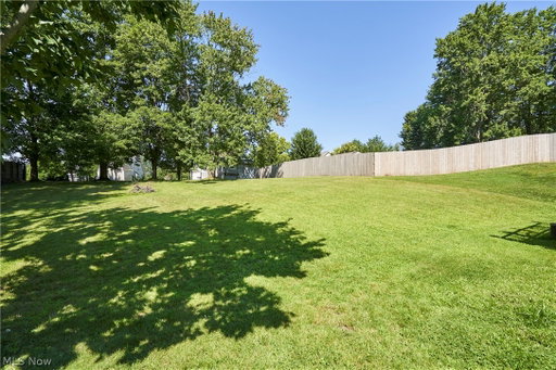 Media Image 2