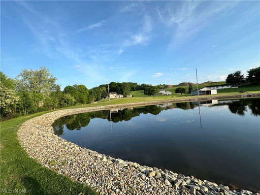 Media Image 2