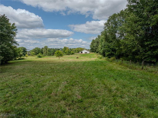 Media Image 3