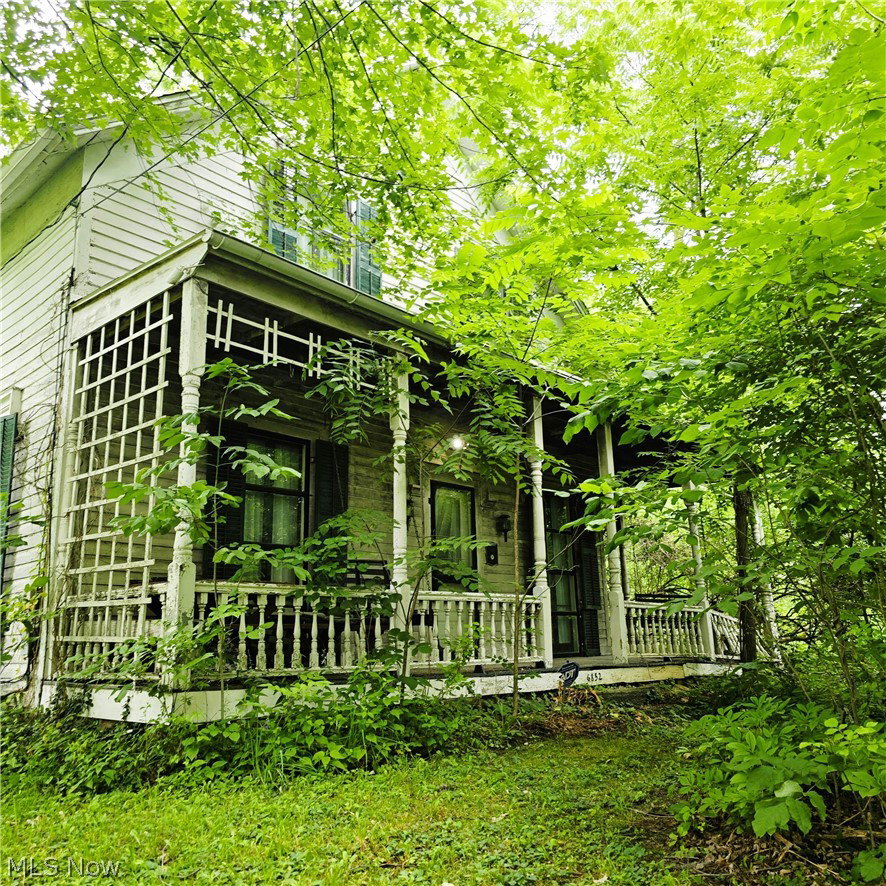 Media Image 1