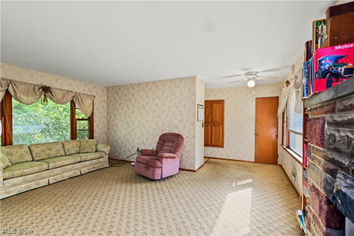 Media Image 3