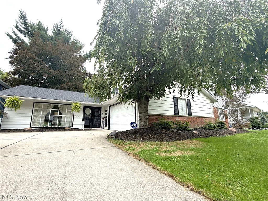 Media Image 1