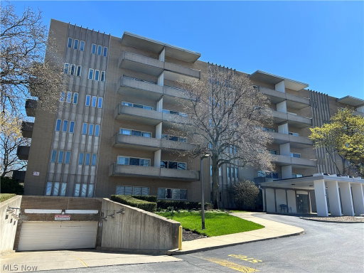 Media Image 2