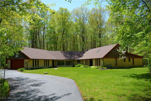 Media Image 3