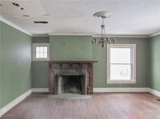 Media Image 3