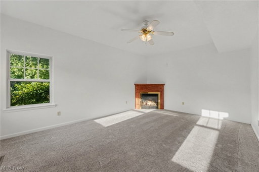 Media Image 3