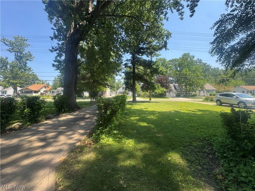 Media Image 3