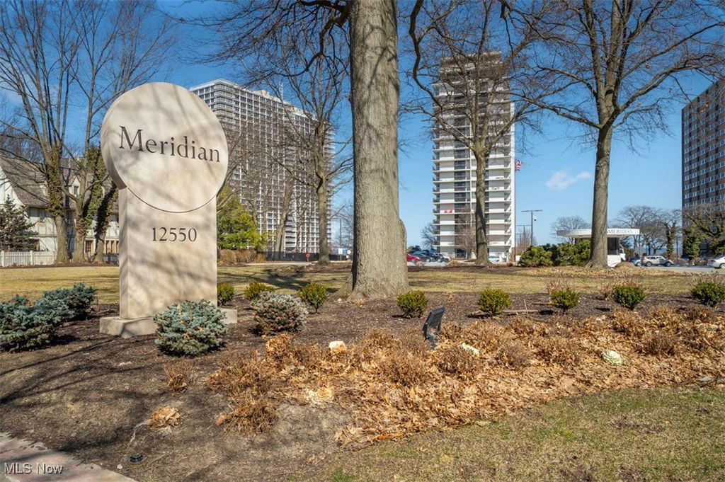 Media Image 1