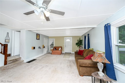 Media Image 3