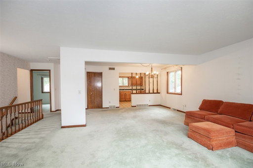Media Image 3