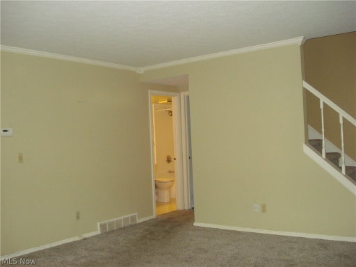 Media Image 3