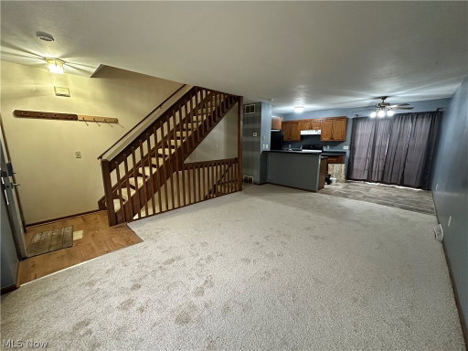 Media Image 3