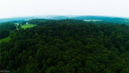 Media Image 2