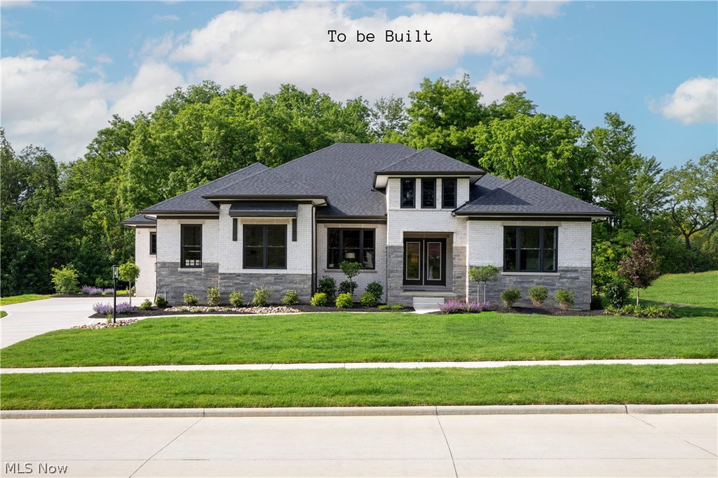 Media Image 1