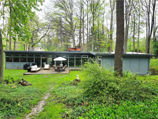 Media Image 2