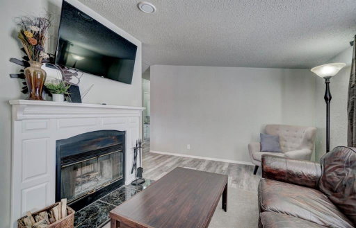 Media Image 3