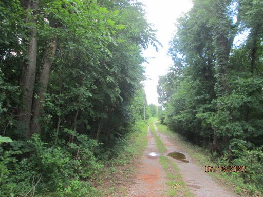 Media Image 2