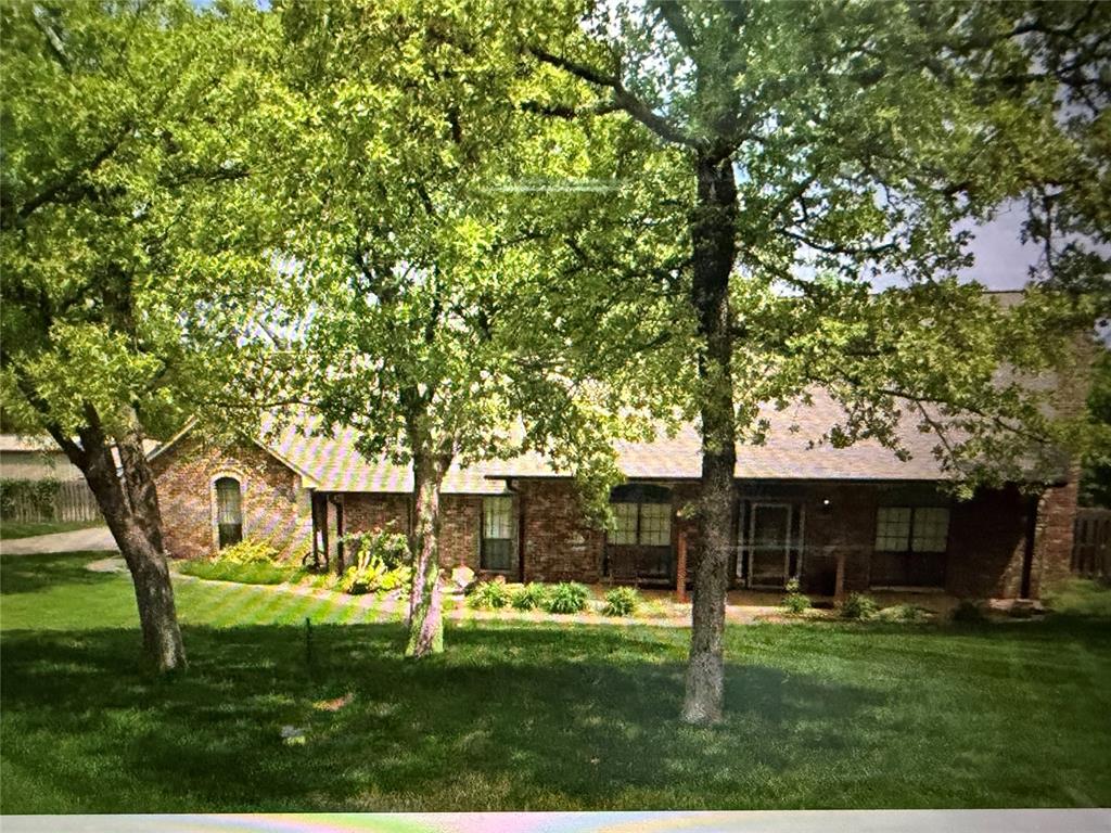 Media Image 1