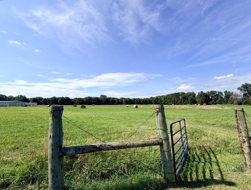 Media Image 2