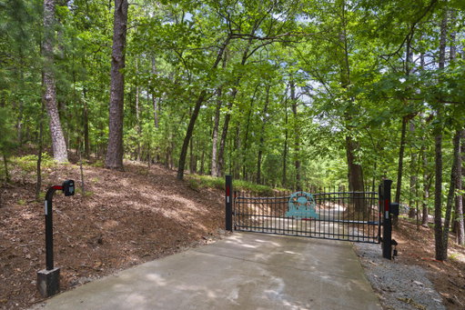Media Image 3