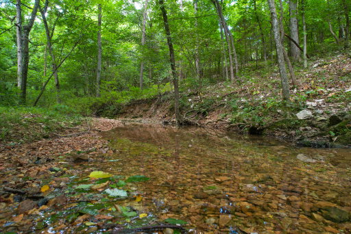 Media Image 3