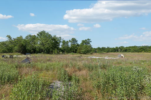 Media Image 3