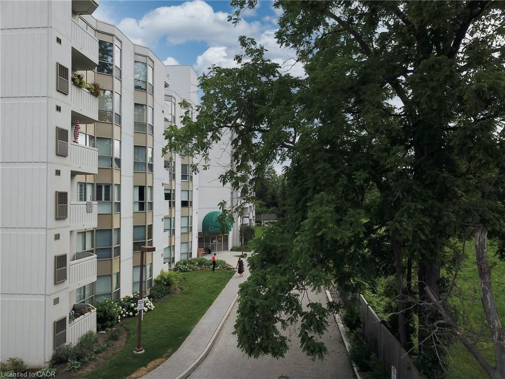Media Image 1