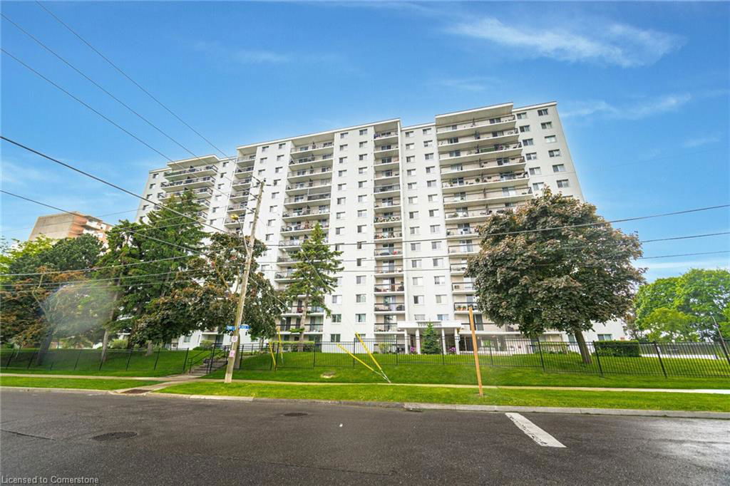 Media Image 1