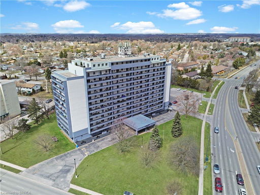 Media Image 2