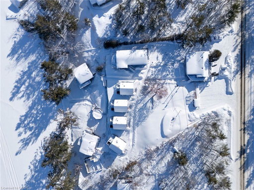 Media Image 3