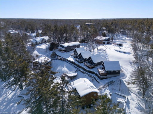Media Image 2