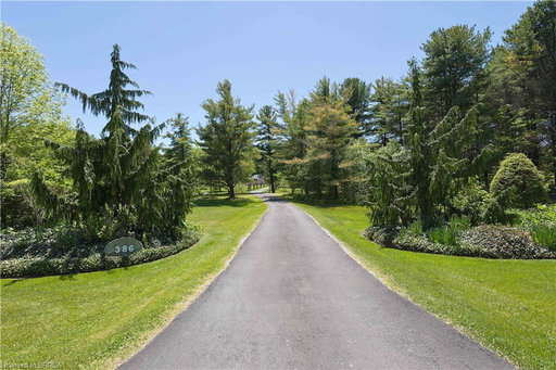 Media Image 2